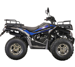 Квадроцикл RATO 200 Classic F, фото 4