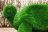 Топиари Черепаха с кашпо Мили - газон Eco