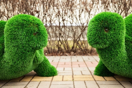 Топиари Черепаха с кашпо Мили - газон Eco, фото 4