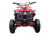 Квадроцикл MOTOLAND 50 Mini