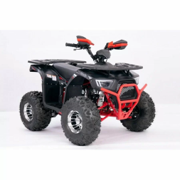 Квадроцикл YACOTA SIRIUS 125 LD, фото 7 Квадроцикл YACOTA SIRIUS 125 LD, фото 7