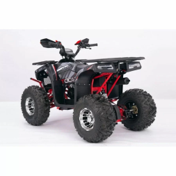 Квадроцикл YACOTA SIRIUS 125 LD, фото 3 Квадроцикл YACOTA SIRIUS 125 LD, фото 3