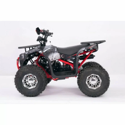 Квадроцикл YACOTA SIRIUS 125 LD, фото 2 Квадроцикл YACOTA SIRIUS 125 LD, фото 2