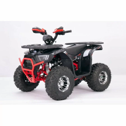 Квадроцикл YACOTA SIRIUS 125 LD, фото 1 Квадроцикл YACOTA SIRIUS 125 LD, фото 1