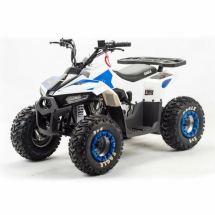 Квадроцикл подростковый MotoLand ATV EAGLE 110