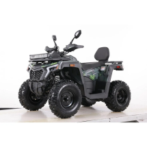 Квадроцикл MOTAX ATV Grizlik T 250 Basic