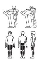 НВВ-004 Глют-машина на свободном весе