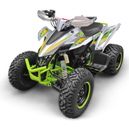 Квадроцикл YACOTA TYPHOON 250, фото 4 Квадроцикл YACOTA TYPHOON 250, фото 4