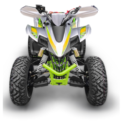 Квадроцикл YACOTA TYPHOON 250, фото 3 Квадроцикл YACOTA TYPHOON 250, фото 3