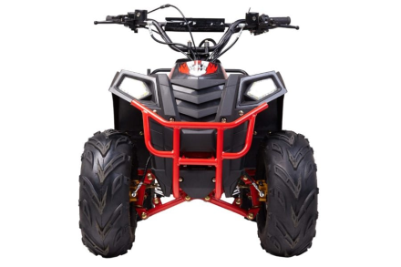 Квадроцикл RAPTOR 8, фото 2