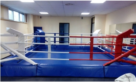 Ринги рамные Hercules 6263, боевая зона 5х5 м (400, 500, 600 кг) в Тюмени, фото 1