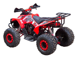 Квадроцикл GLADIATOR X125, фото 3