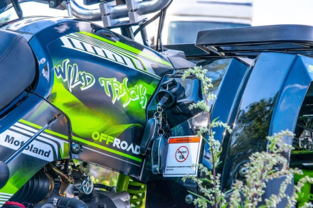 Квадроцикл MOTOLAND 200 Wild Track Lux ( Баланс. вал) (2021 Г.), фото 11