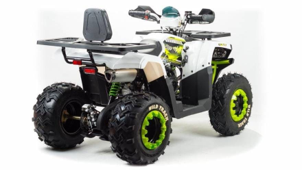 Квадроцикл MOTOLAND 200 Wild Track Lux ( Баланс. вал) (2021 Г.), фото 6