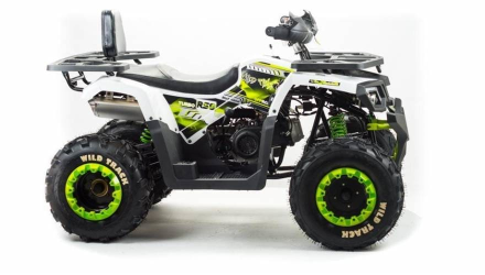 Квадроцикл MOTOLAND 200 Wild Track Lux ( Баланс. вал) (2021 Г.), фото 5