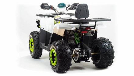 Квадроцикл MOTOLAND 200 Wild Track Lux ( Баланс. вал) (2021 Г.), фото 4