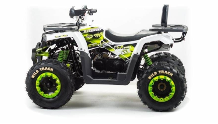 Квадроцикл MOTOLAND 200 Wild Track Lux ( Баланс. вал) (2021 Г.), фото 3