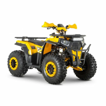 Квадроцикл WELS ATV Thunder Trail 200