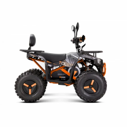 Квадроцикл YACOTA Sirius 2000W, фото 7 Квадроцикл YACOTA Sirius 2000W, фото 7