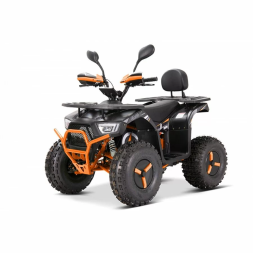 Квадроцикл YACOTA Sirius 2000W, фото 2 Квадроцикл YACOTA Sirius 2000W, фото 2