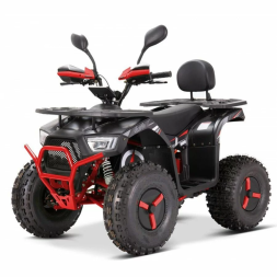 Квадроцикл YACOTA Sirius 2000W, фото 1 Квадроцикл YACOTA Sirius 2000W, фото 1