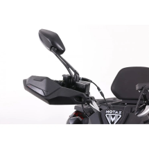 Квадроцикл MOTAX ATV Grizlik T 250 Pro