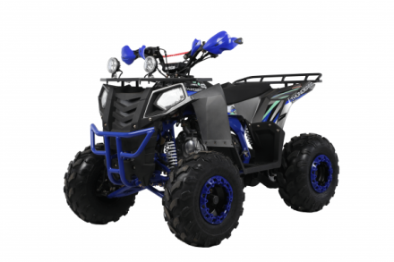 Квадроцикл WELS Thunder EVO X ST, фото 1