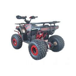 Квадроцикл YACOTA VEKTOR 125, фото 2 Квадроцикл YACOTA VEKTOR 125, фото 2