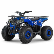 Квадроцикл WELS ATV Trail 125
