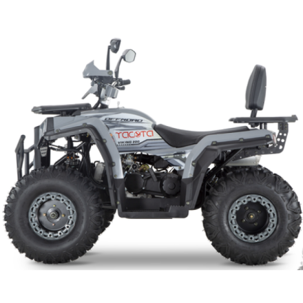 Квадроцикл YACOTA VIKING, фото 1
