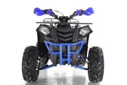 Квадроцикл WELS Thunder EVO, фото 6 Квадроцикл WELS Thunder EVO, фото 6