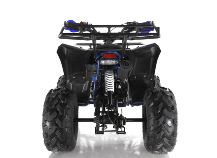 Квадроцикл WELS Thunder EVO, фото 3