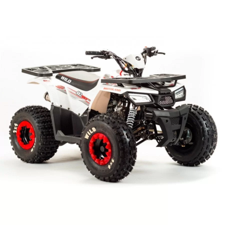 Квадроцикл подростковый MotoLand ATV WILD BASIC 125, фото 3