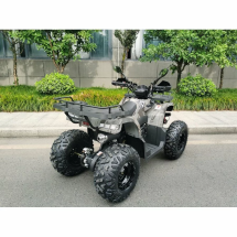 Квадроцикл MOTAX ATV Grizlik T200