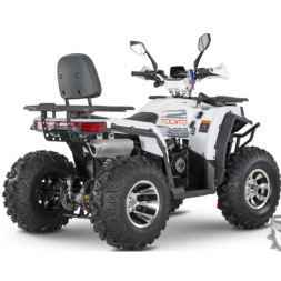 Квадроцикл YACOTA VIKING PRO, фото 3 Квадроцикл YACOTA VIKING PRO, фото 3