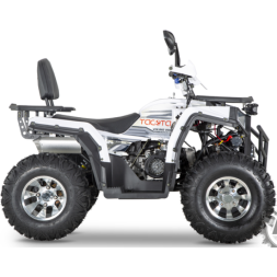 Квадроцикл YACOTA VIKING PRO, фото 2 Квадроцикл YACOTA VIKING PRO, фото 2