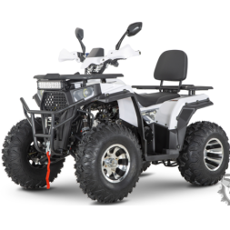 Квадроцикл YACOTA VIKING PRO, фото 1 Квадроцикл YACOTA VIKING PRO, фото 1