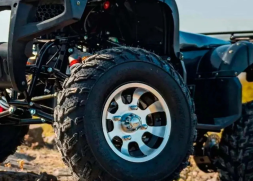 Квадроцикл TIGER Sport 250 (2024), фото 14 Квадроцикл TIGER Sport 250 (2024), фото 14