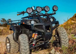 Квадроцикл TIGER Sport 250 (2024), фото 11 Квадроцикл TIGER Sport 250 (2024), фото 11