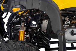 Квадроцикл TIGER Sport 250 (2024), фото 8 Квадроцикл TIGER Sport 250 (2024), фото 8