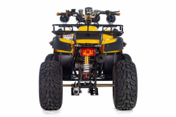 Квадроцикл TIGER Sport 250 (2024), фото 4 Квадроцикл TIGER Sport 250 (2024), фото 4