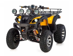 Квадроцикл TIGER Sport 250 (2024), фото 1 Квадроцикл TIGER Sport 250 (2024), фото 1