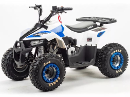Квадроцикл MZ Eagle 110, фото 2