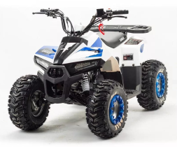 Квадроцикл MZ Eagle 110, фото 1