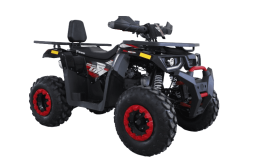 Квадроцикл HUNTER 250, фото 3 Квадроцикл HUNTER 250, фото 3