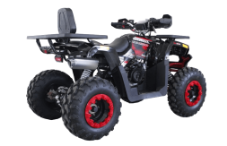 Квадроцикл HUNTER 250, фото 2 Квадроцикл HUNTER 250, фото 2