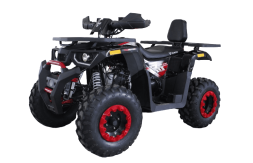 Квадроцикл HUNTER 250, фото 1 Квадроцикл HUNTER 250, фото 1