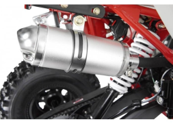 Квадроцикл WELS Thunder EVO LUX X 125, фото 13