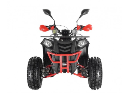 Квадроцикл WELS Thunder EVO LUX X 125, фото 7