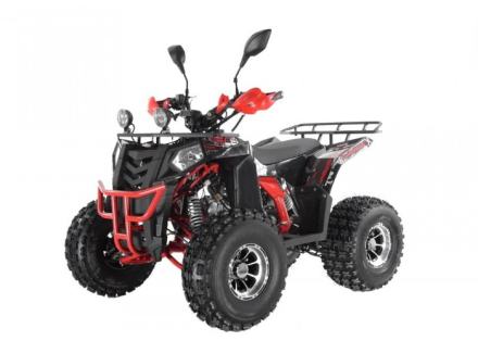 Квадроцикл WELS Thunder EVO LUX X 125, фото 6